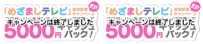 めざましテレビ放送記念キャンペーン　コワガーリーをオンラインショップで買って5000円キャッシュバック！