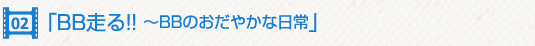 BB走る!! 〜BBのおだやかな日常〜